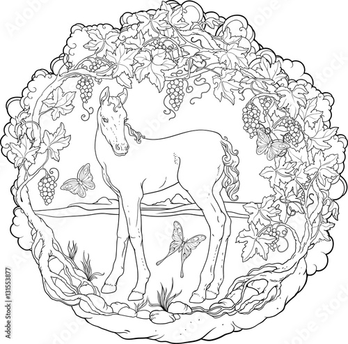 Fototapeta Naklejka Na Ścianę i Meble -  Filly in a garden with butterflies