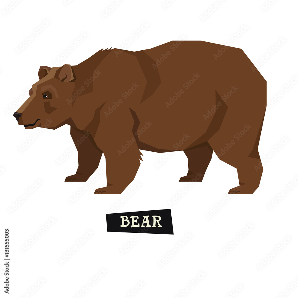 Obraz premium Wild animals collection Brown bear Geometric style