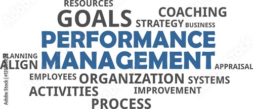 word cloud - performance management