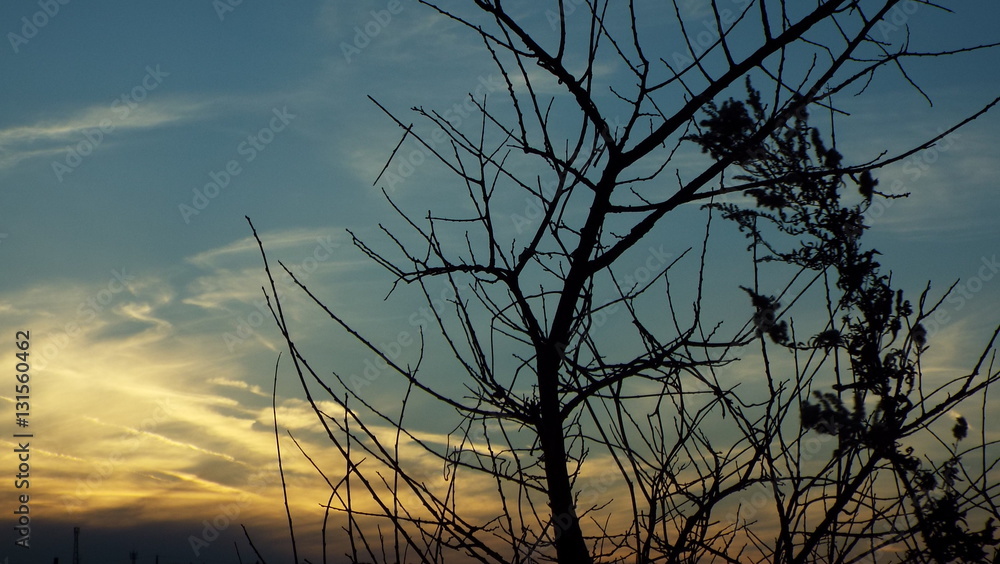 Obraz premium 夕景5