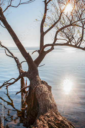 Lago di Bracciano, Italia