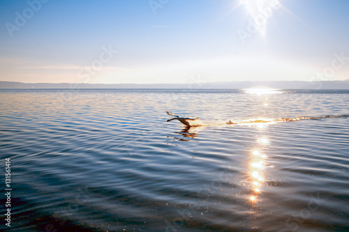 Lago di Bracciano, Italia