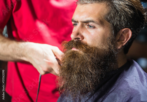 Handsome bearded man in barbershop photo