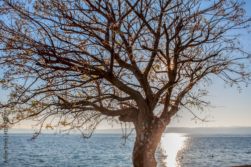 Lago di Bracciano, Italia