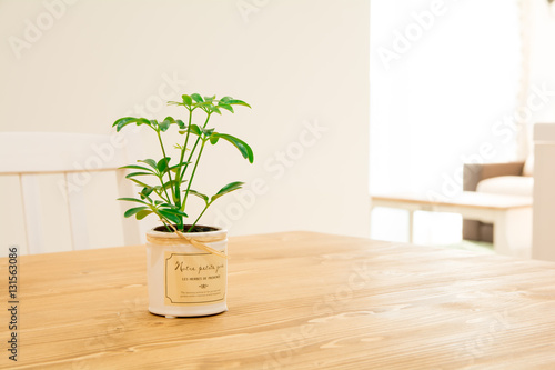 ダイニングテーブルに置いてある観葉植物