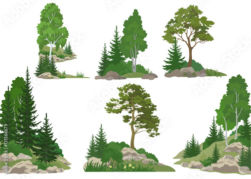 Wallpaper Mural Set Landscapes, Isolated on White Background Coniferous and Deciduous Trees, Flowers and Grass on the Rocks