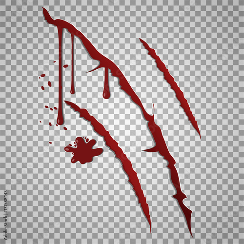 Bloody scratch marks. Vector incised wounds with blood drops