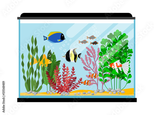 Cartoon fishes in aquarium. Saltwater or freshwater fish tank vector illustration