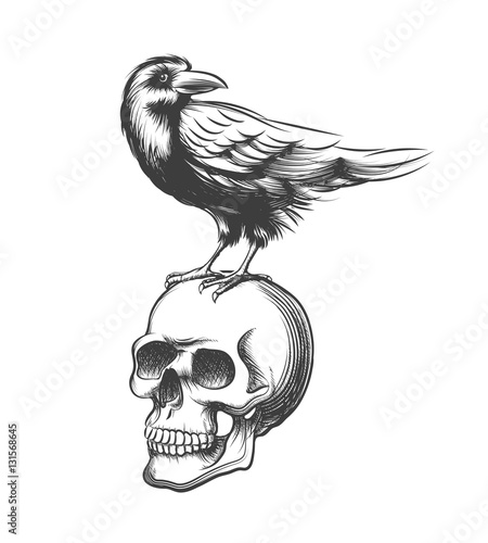 Evil crow hand drawn vector illustration. Black raven devil on skull isolated white background