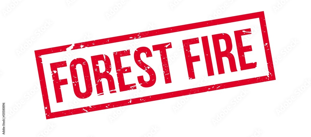 Forest Fire rubber stamp Forest Fire rubber stamp