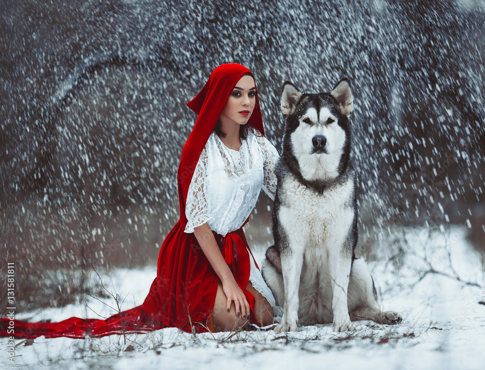 Girl in costume Little Red Riding Hood with dog malamute like a Stock
