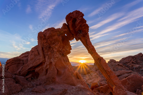 Elephant Rock, Valley of Fire State Park photo