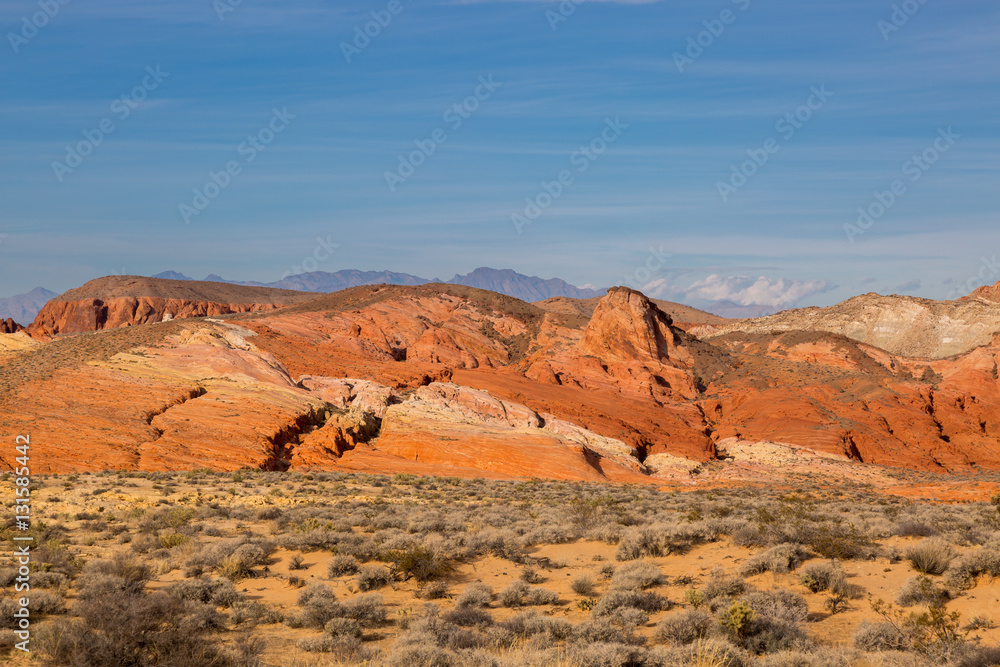 Naklejka premium Valley of Fire State Park in Nevada