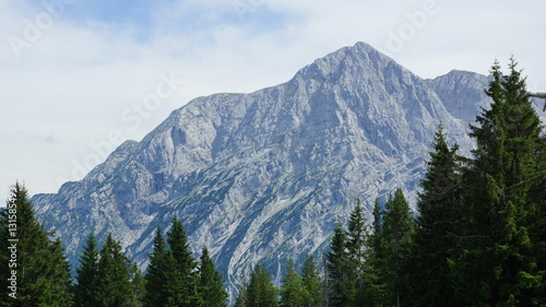 Fototapeta Naklejka Na Ścianę i Meble -  schöner erhabener Gipfel der Alpen über den Wald der Fichten