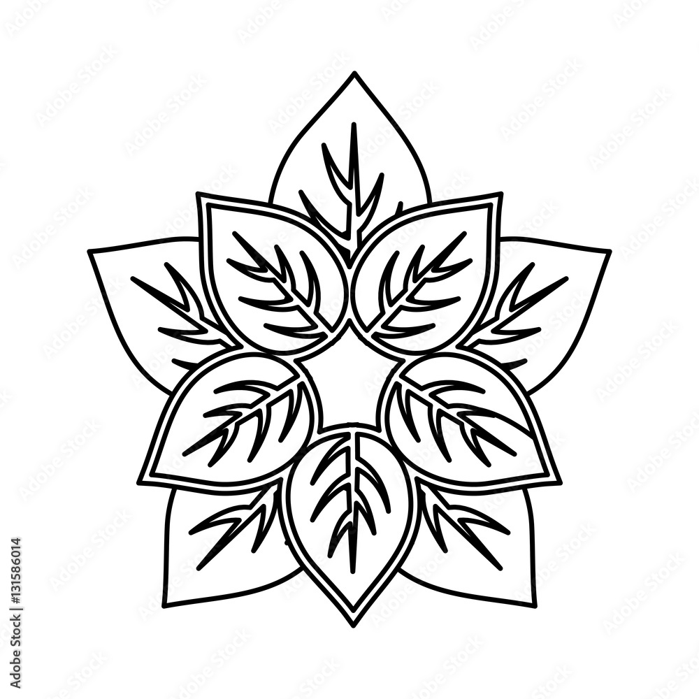 Leaves natural concept icon vector illustration graphic design