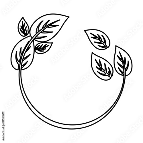 Leaves natural concept icon vector illustration graphic design