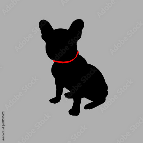 dog vector breed cute pet animal bulldog