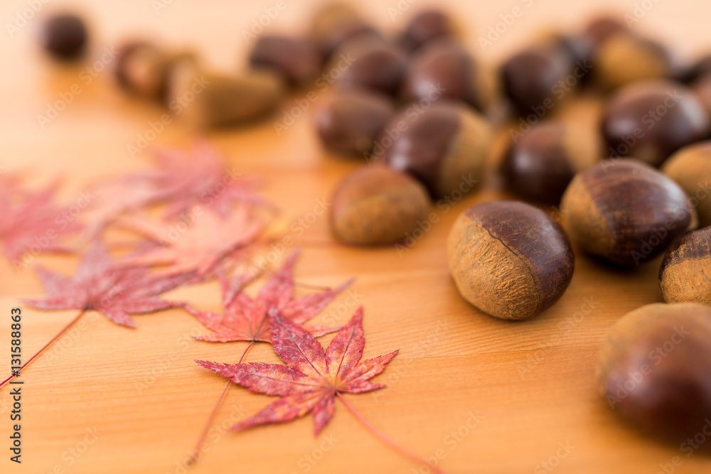 Pile of chestnuts and maple leaves Pile of chestnuts and maple leaves