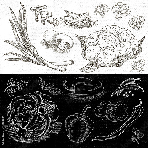 Set of chalk drawn on a blackboard food, spices.