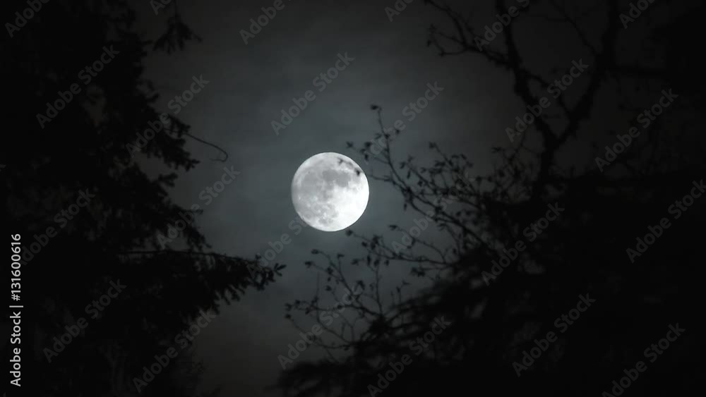 Time lapse of full moon rising at night in forest with scary effect and transition to black.
