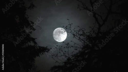 Time lapse of full moon rising at night in forest with scary effect and transition to black. photo