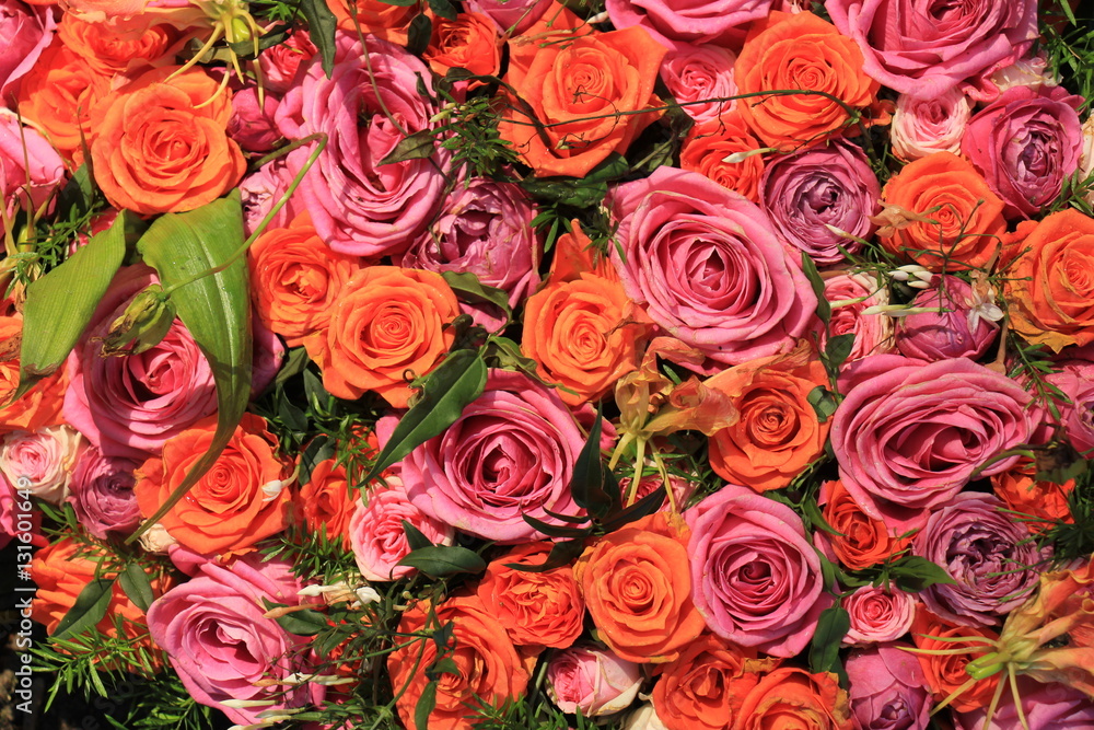 Mixed pink and orange roses Mixed pink and orange roses