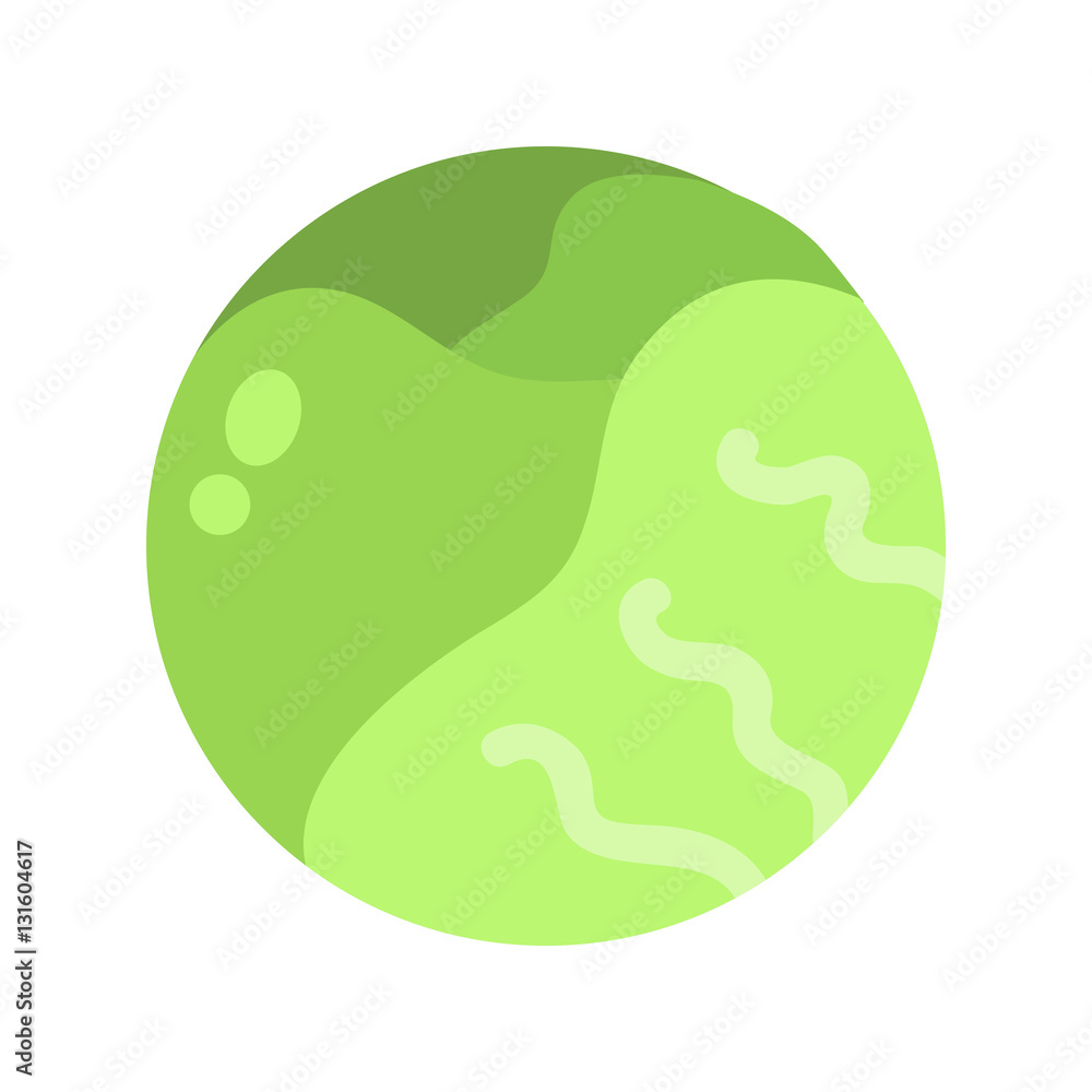 Brussels sprouts vector illustration. Brussels sprouts vector illustration.