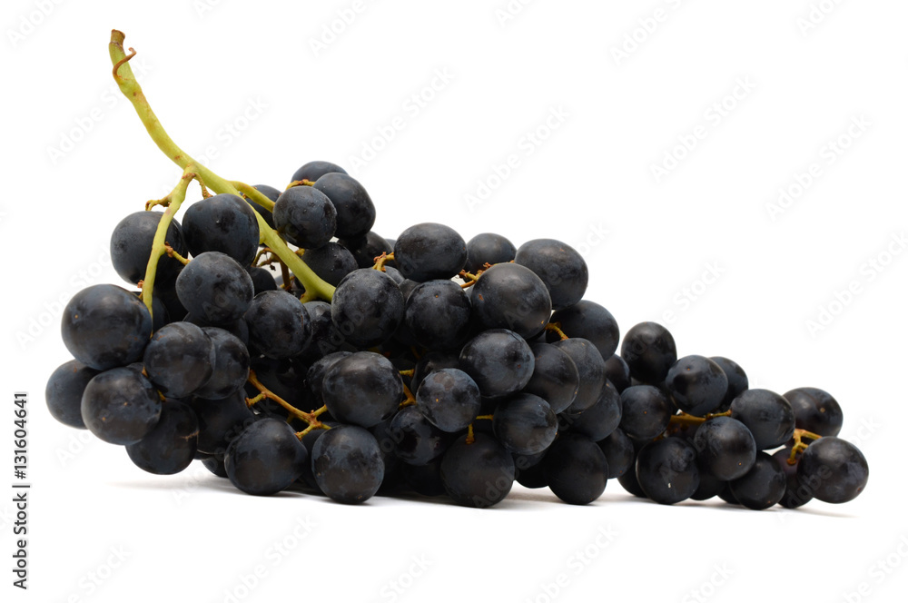 bunch of black grapes isolated on white background bunch of black grapes isolated on white background