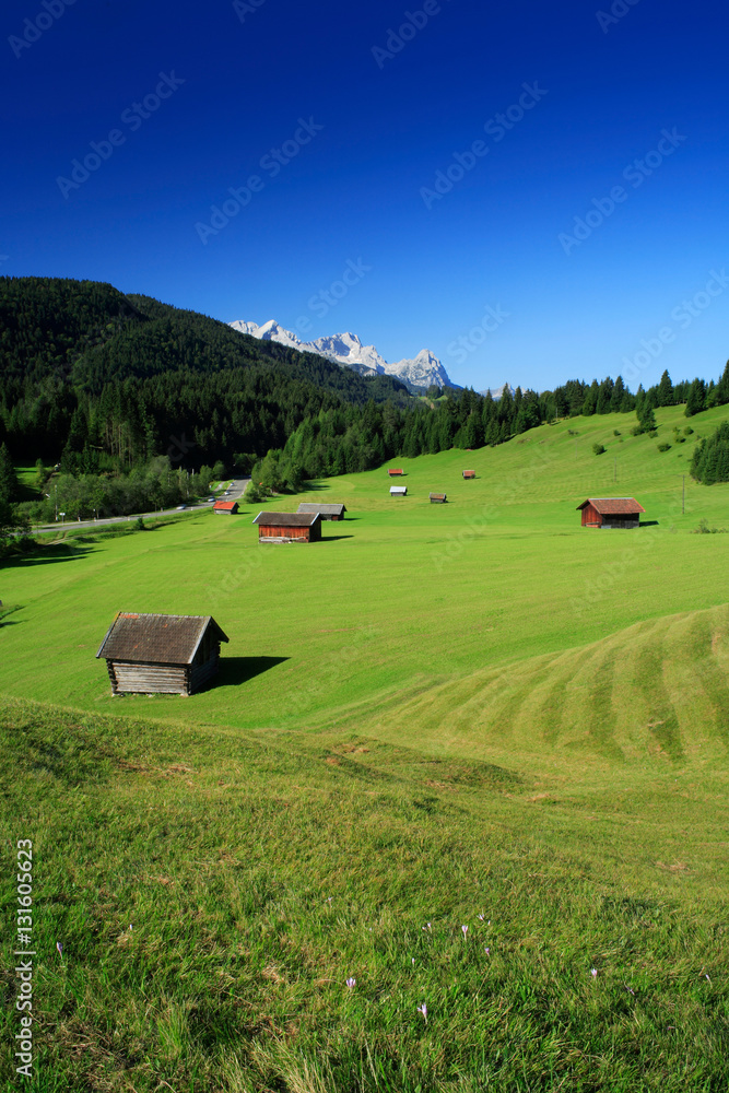 Bergwiese in den Bayerischen Alpen, Typische Almhütten, hinten die Zugspitze, bei Mittenwald, Bayern, Deutschland Bergwiese in den Bayerischen Alpen, Typische Almhütten, hinten die Zugspitze, bei Mittenwald, Bayern, Deutschland