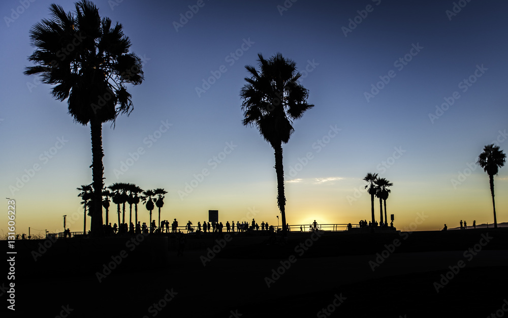 Venice Beach Skate Park Silhouette