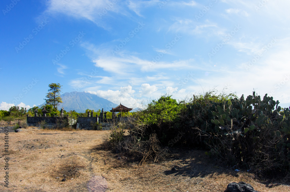 Fototapeta premium Landscape with Agung Volcano with Balinese temple and Cactus bus