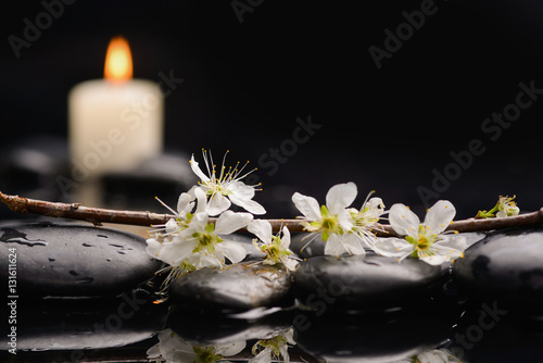 Spring blossom with white candle on black stones