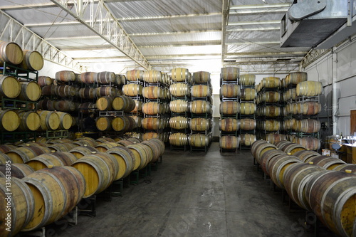 Wine barrels at the winery 