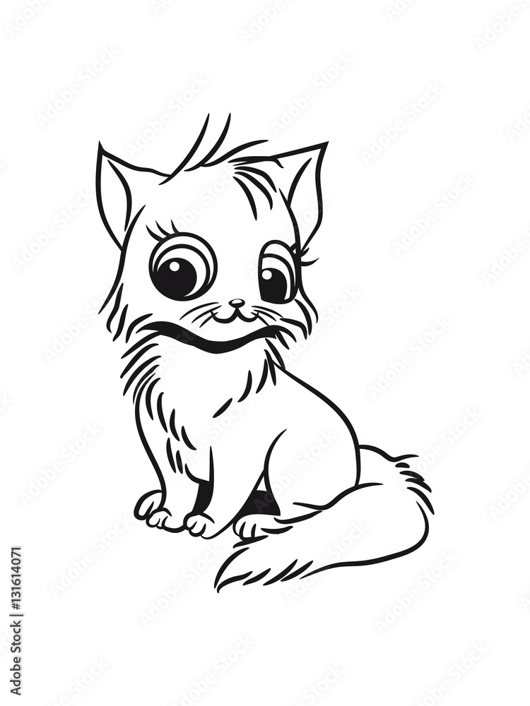 Fototapeta premium Cat baby cute sitting