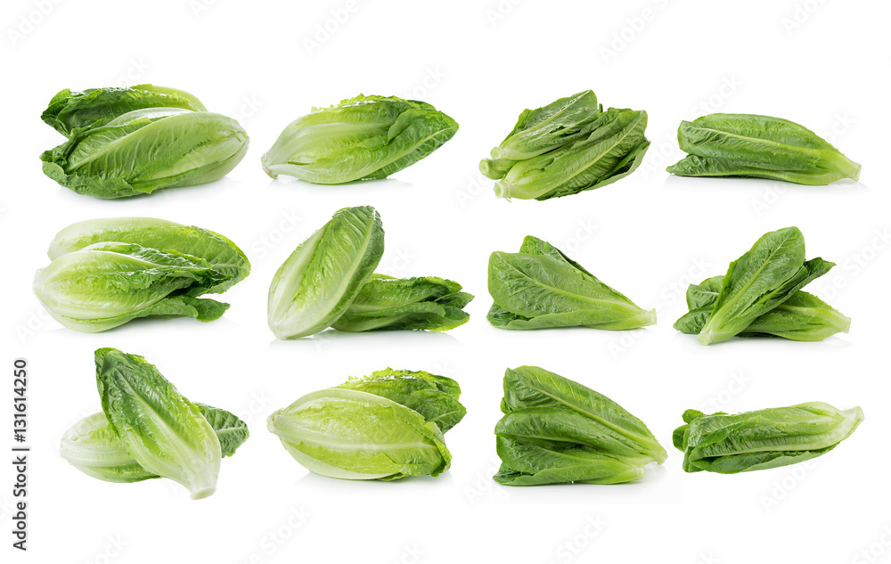 Cos Lettuce on White Background Cos Lettuce on White Background