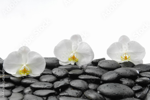 Three white orchid with therapy stones