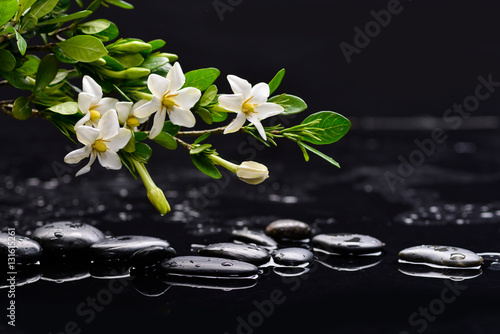 Still life with gardenia with therapy stones