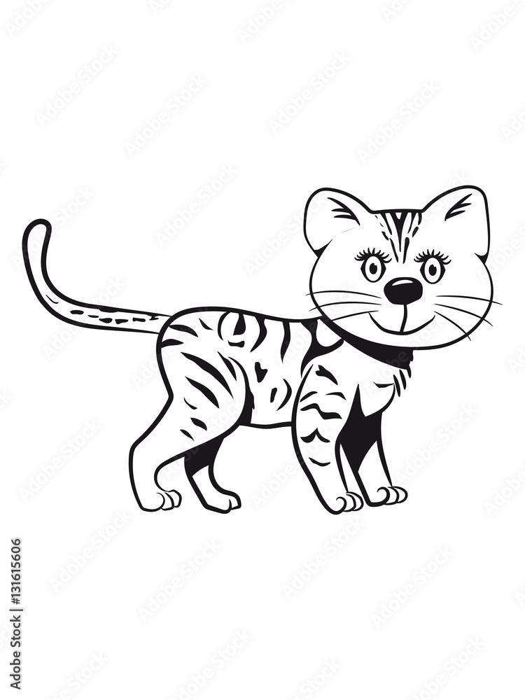 Cat baby cute funny tiger Cat baby cute funny tiger