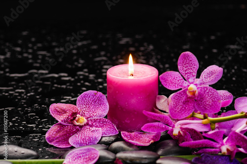 Branch orchid and candle on black stones with long stem