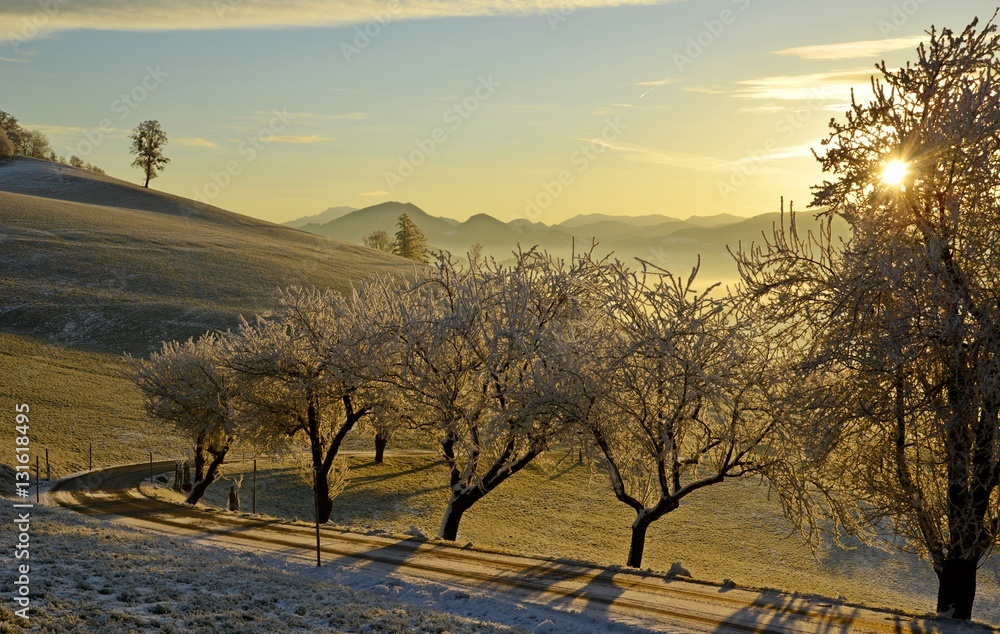 Naklejka premium Sonnenaufgang im Winter