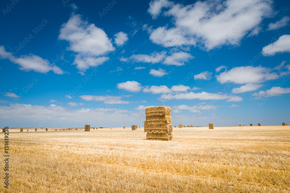 Rural Australian agricultural landscape Hay stacks in farm field