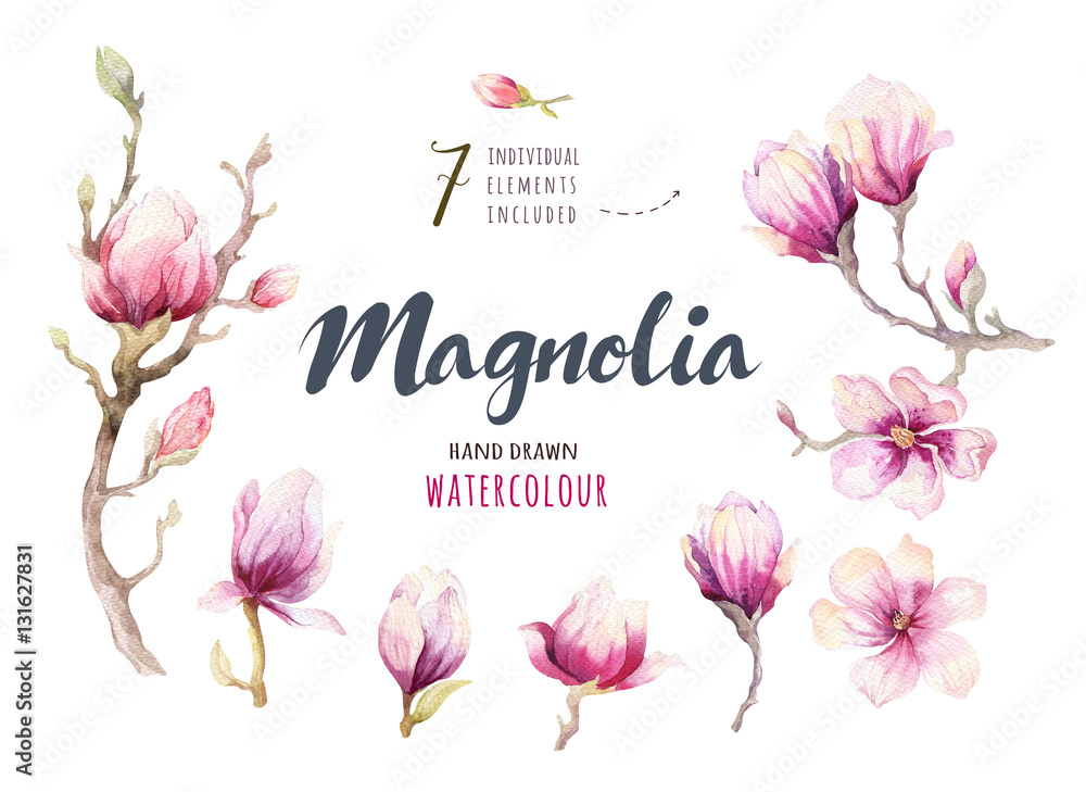 Fototapeta premium Watercolor Painting Magnolia blossom flower wallpaper decoration
