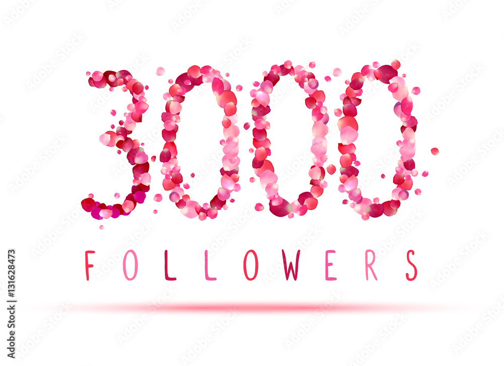 3000 (three thousand) followers