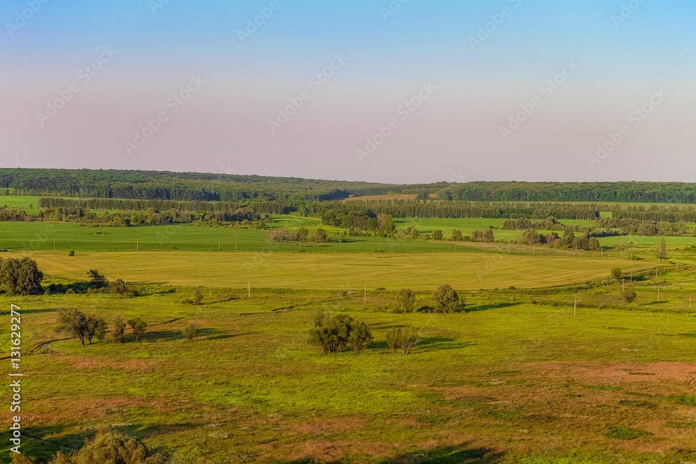 View green forest-steppe plains