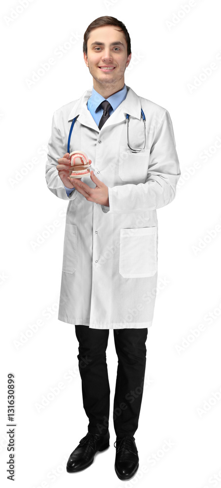 Young doctor with dental jaw model on white background