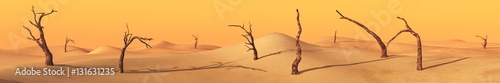 Panorama of the desert. Dead trees in the sand. photo