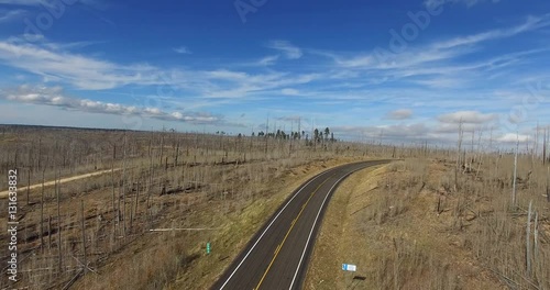 Cinema 4k aerial of a road in a dead forest, near Grand canyon north rim, in Arizona, united states of america photo