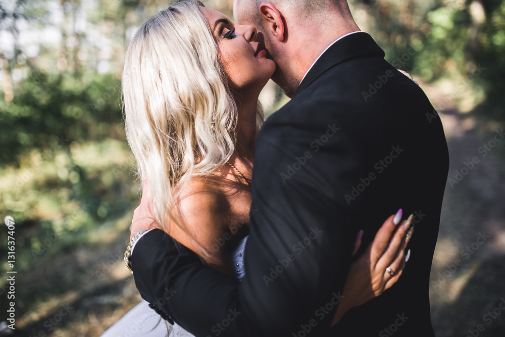 Fototapeta premium nice couple, wedding day