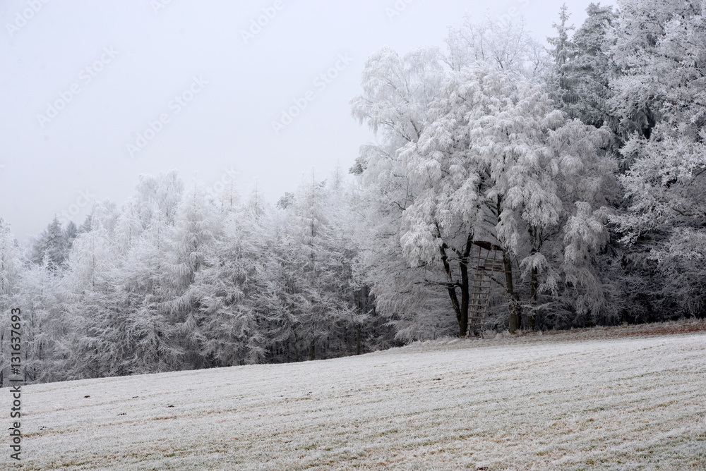 farblos, winterlicher Waldrand mit Hochsitz von Raureif überzogen farblos, winterlicher Waldrand mit Hochsitz von Raureif überzogen