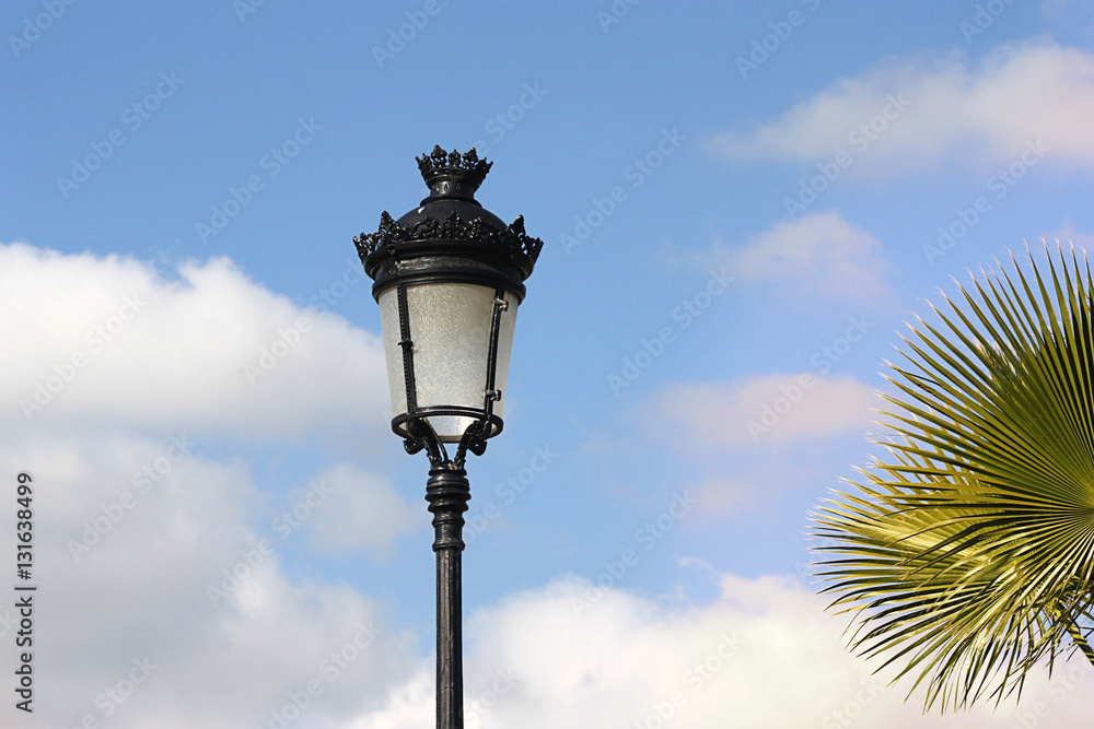 lantern and palm tree on sky background